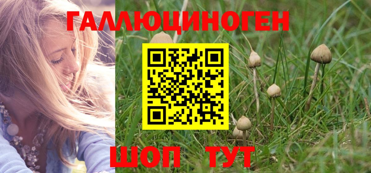 Галлюциногенные грибы прущие грибы  Вход с VPN  Ноябрьск  Псилоцибиновые грибы GOLDEN TEACHER 